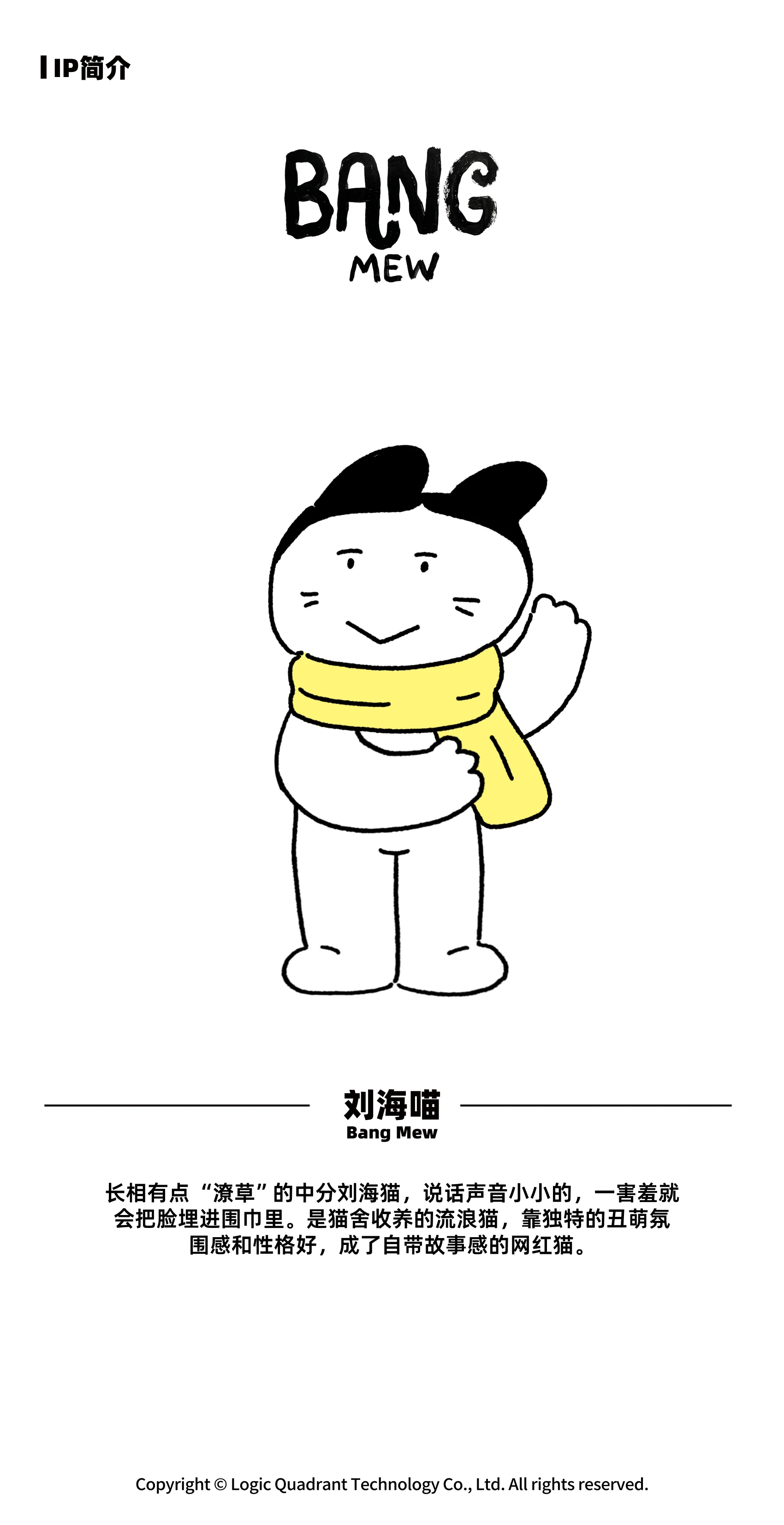 ip-052 手册第 2 页